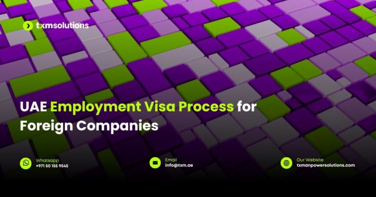 uae employment visa process